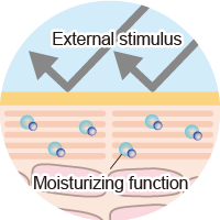 HOW OUR SKIN WORKS
